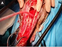 Oncologia practica para el clinico de Pequeños Animales 2a edición - Ruano2