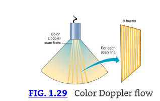 Textbook of Clinical Echocardiography, 7th Edition Catherine M. Otto1
