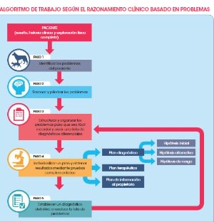 Milan, Razonamiento clinico y diagnosticos diferenciales. Evalua tus habilidades2