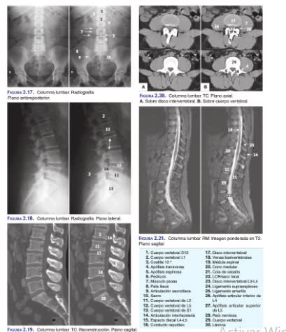 De Gregorio Anatomia Radiologica4