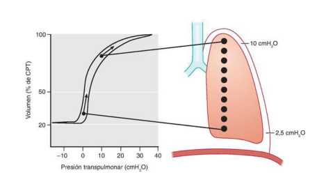 Miller Anestesia 2 Vol. 10 Ed5