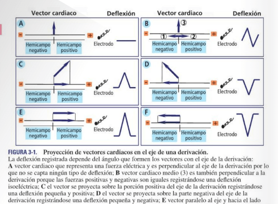 Velez ECG Handbook 4ª ed6