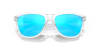 0OO9013 9013D0 55 FROGSKINS6