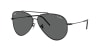 0RBR0101S 002/GR59 AVIATOR REVERSE8