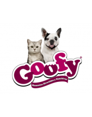 GOOFY GOOFY