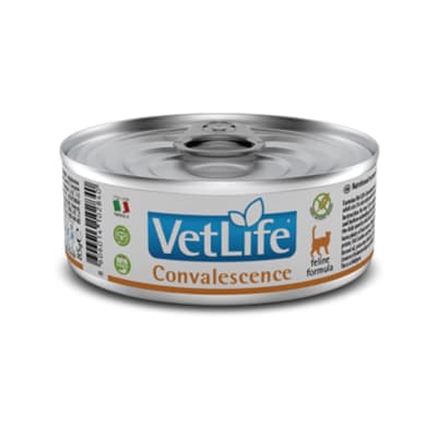 VET LIFE WF CAT CONVALESCENCE 85 GR VET LIFE WF CAT CONVALESCENCE 85 GR