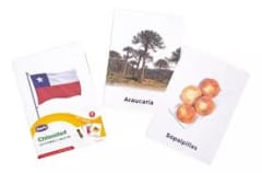 Chilenidad – Set de 20 Láminas 21x15 cm | Dactic