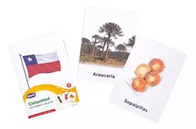 Chilenidad – Set de 20 Láminas 21x15 cm | Dactic1