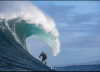 Volte wetsuits Crowdcube