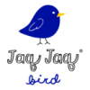 Jaq Jaq Bird Jaq Jaq Bird