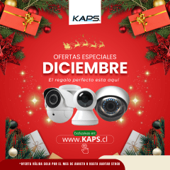 El Regalo de Navidad Ideal 