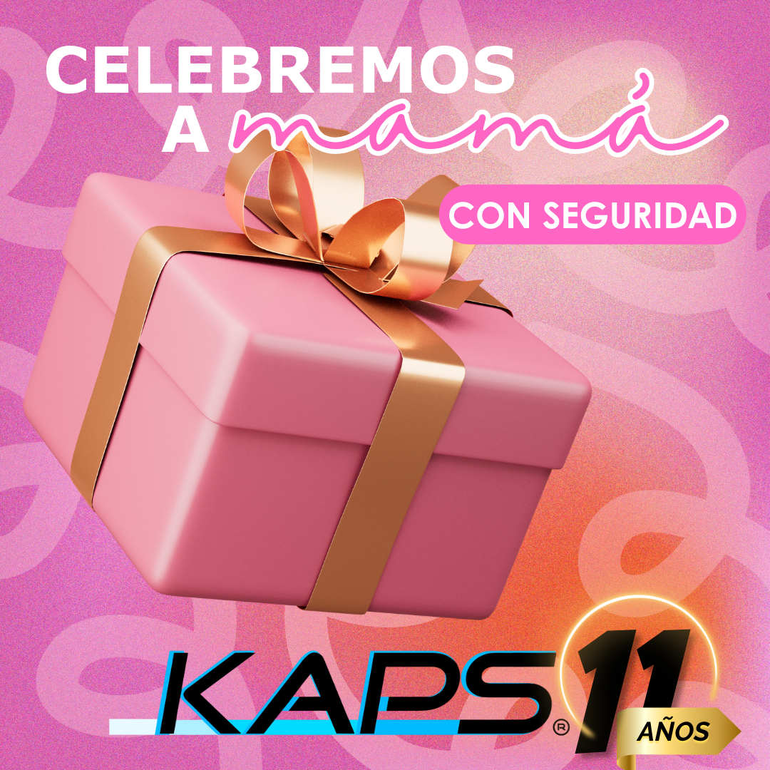  Por que regalar cámaras de Seguridad a Mamá?