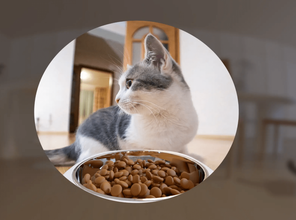 Dispensador de comida inteligente para mascotas PET FEEDER IMOU 2K CAMARA PANORAMICA 360°3