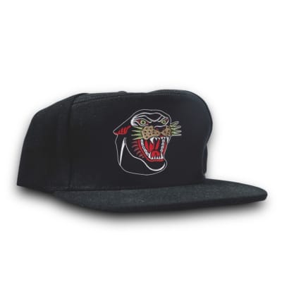 Snapback 6 Panel Tradicional varios diseños Snapback 6 Panel Tradicional varios diseños