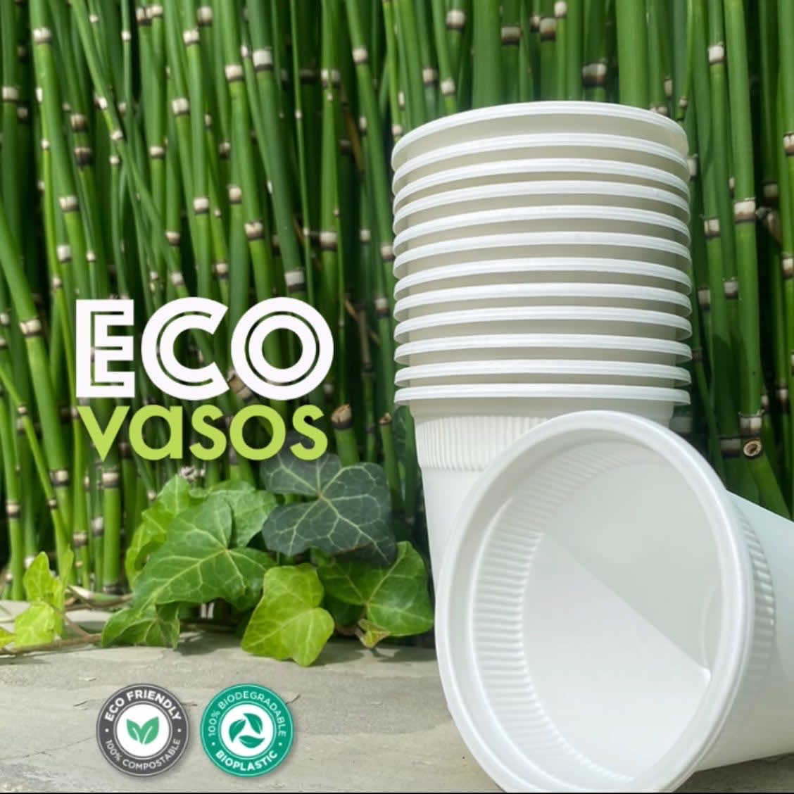 Vaso ECO 50 unidades1