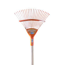 BARRE HOJAS RAYUN2