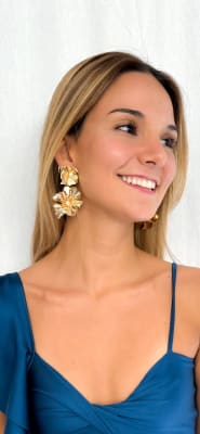 AROS FIESTA 41