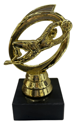 PREMIO MEJOR ARQUERO