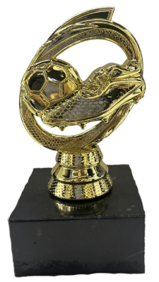 PREMIO MEJOR JUGADOR