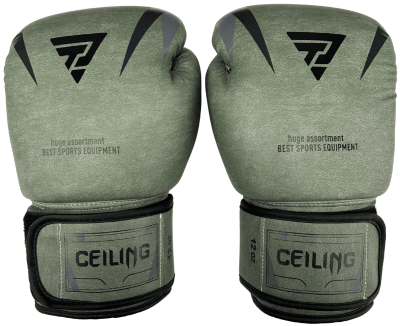 GUANTE BOXEO CEILING