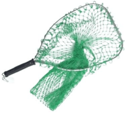 CHINGUILLO EAGLE CLAW