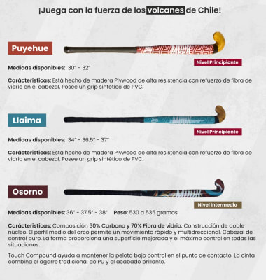 PALO HOCKEY MUUK PUYEHUE 32