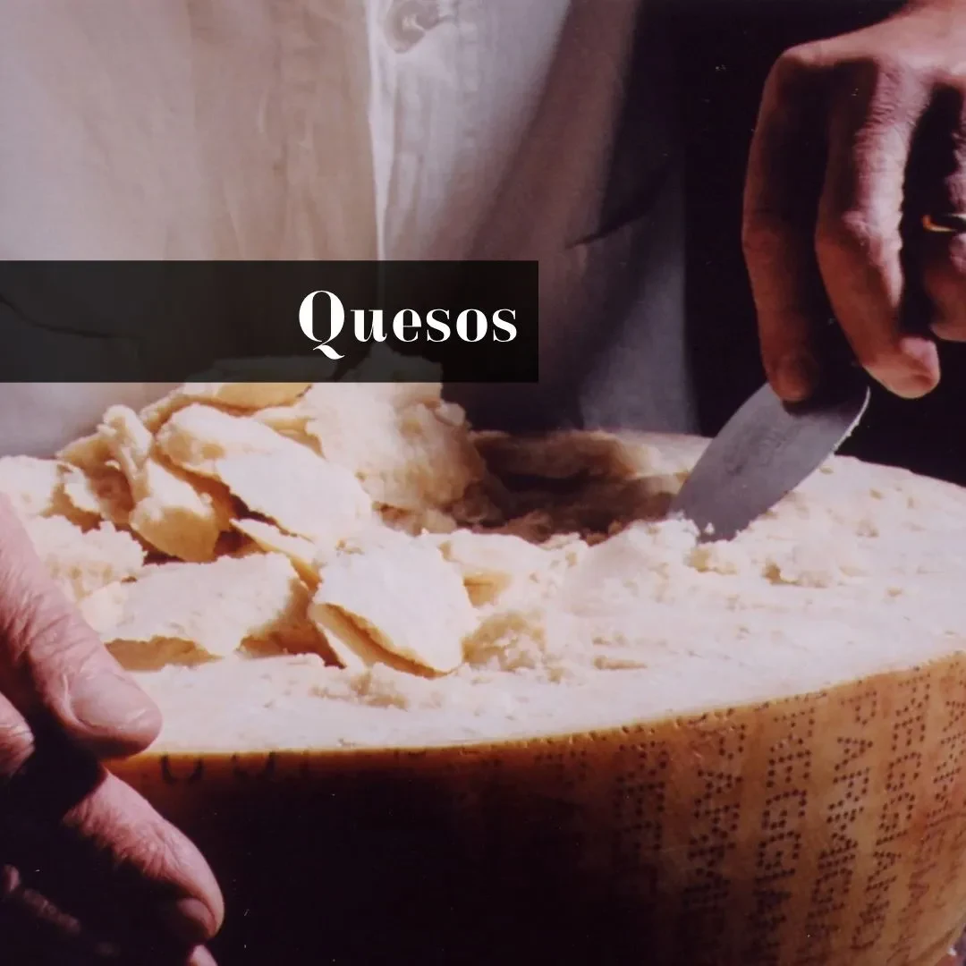 quesos italianos
