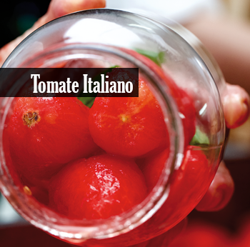 tomate italiano