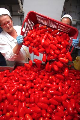 Salsa Tomate c/Alici di Cetara , Costa Amalfitana , 280gr Salsa Tomate c/Alici di Cetara , Costa Amalfitana , 280gr