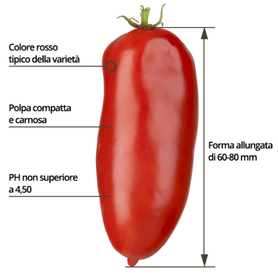 Pelati San Marzano, 800 gr D.O.P. Agro- Sarnese GUSTAROSSO Pelati San Marzano, 800 gr D.O.P. Agro- Sarnese GUSTAROSSO