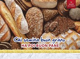 3 kg La Rossa pan, hidratacion harina de fuerza 3 kg La Rossa pan, hidratacion harina de fuerza