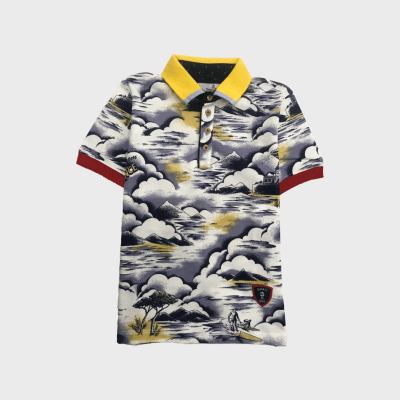 Polo Cloud1