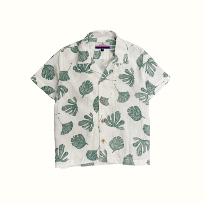 Camisa Sport Lino Verde1