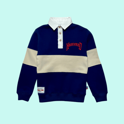 Sudadera Camisero Harvard Acero1