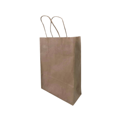 Medidas: 30 X 22 X 9 - Ecobolsa Chica