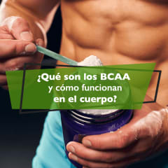 ¿Qué son los BCAA y cómo funcionan en el cuerpo?