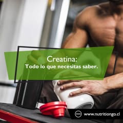 Creatina: Todo lo que  necesitas saber.
