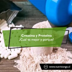 Creatina y Proteína: ¿cual es mejor y porqué?