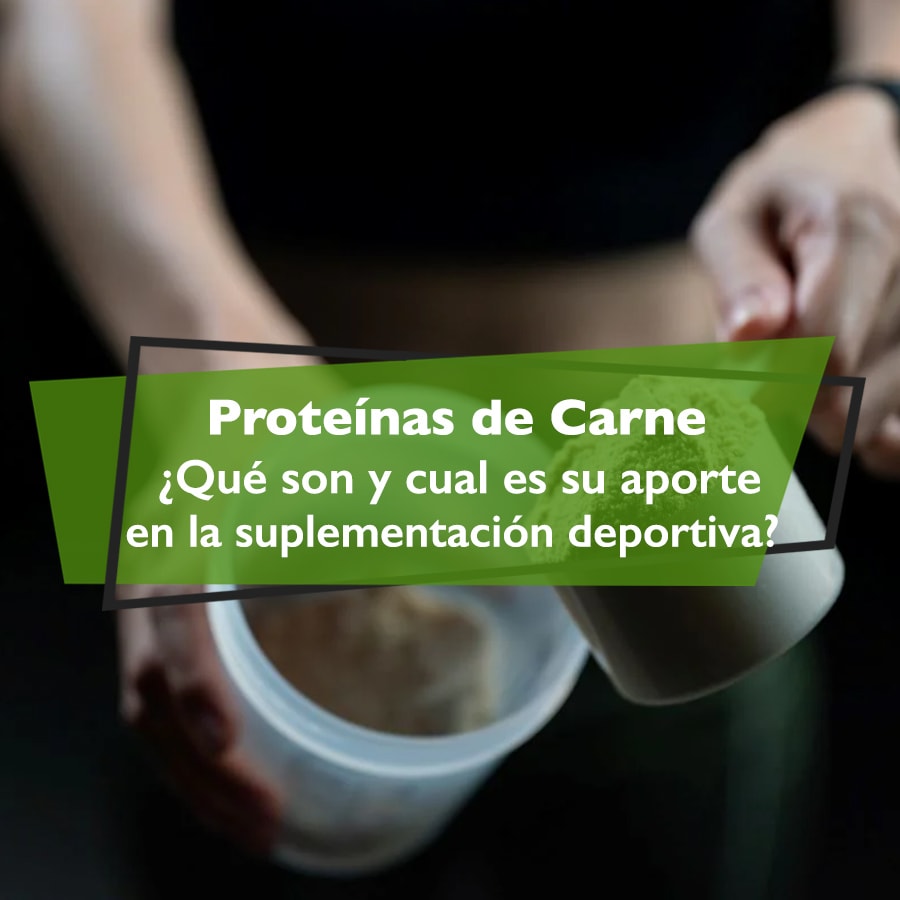 Proteínas de Carne, todo lo que necesitas saber
