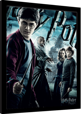 CUADRO DE COLECCIÓN HARRY POTTER HALF BLOOD PRINCE