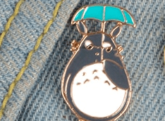 PIN TOTORO PARAGUA