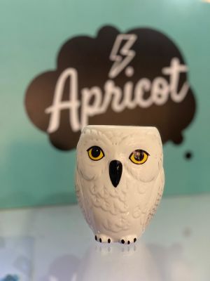 TAZÓN MUG HEDWIG HARRY POTTER