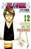 MANGA BLEACH N.121