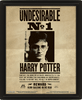 CUADRO 3D HARRY POTTER SIRIUS BLACK1