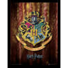 CUADRO COLECCIÓN OFICIAL HOGWARTS1