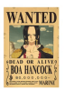 POSTER BOA HANCOCK ONE PIECE1
