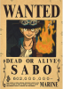 POSTER SABO ONE PIECE1