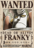 POSTER FRANKY ONE PIECE1