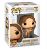 FUNKO POP! HARRY POTTER AND THE PRISONER OF AZKABAN - HERMIONE GRANGER WITH CROOKSHANKS1