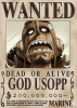 POSTER GOD USOPP ONE PIECE1